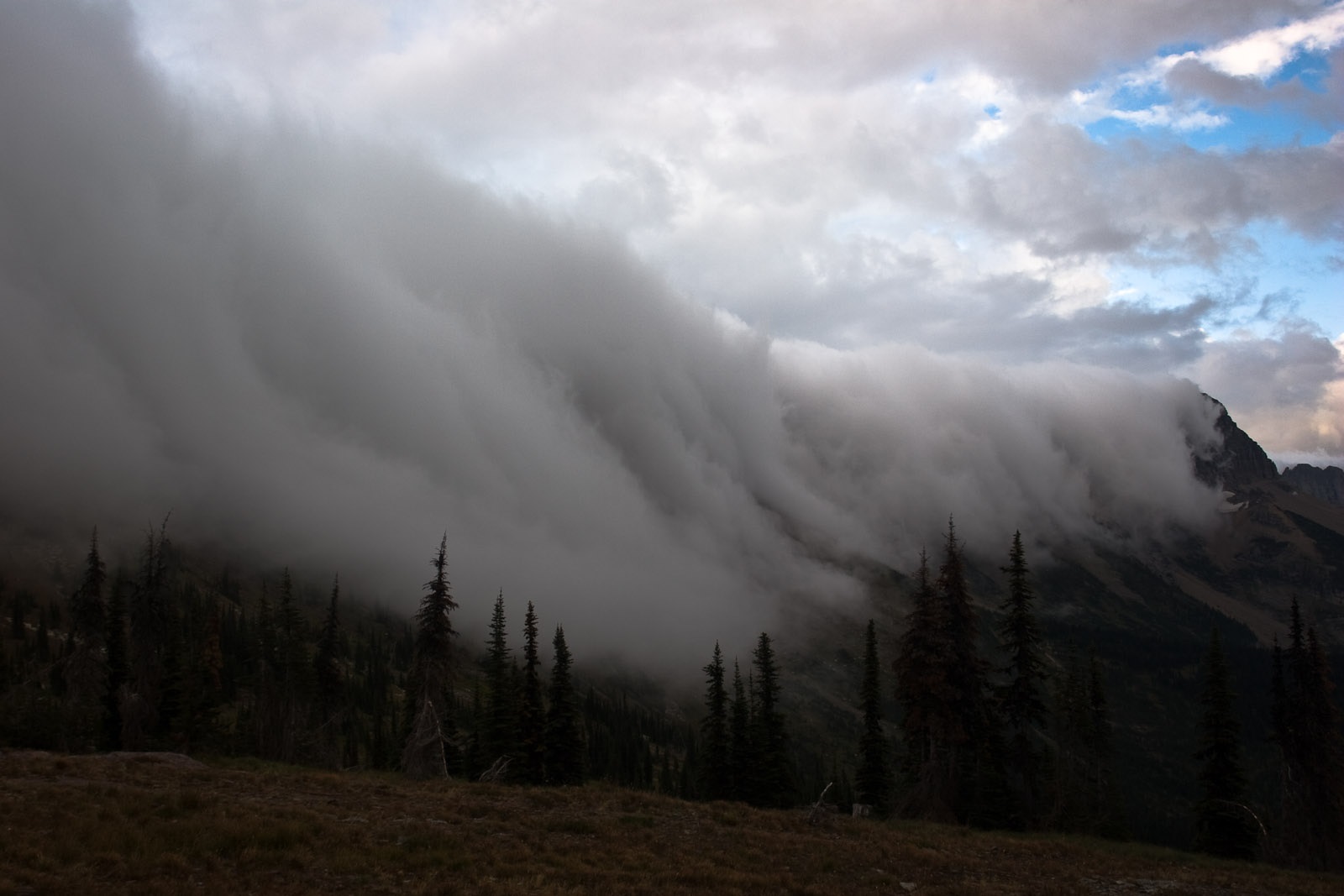 Le R Chauffement Va Alourdir Les Vagues De Froid Les Transitions