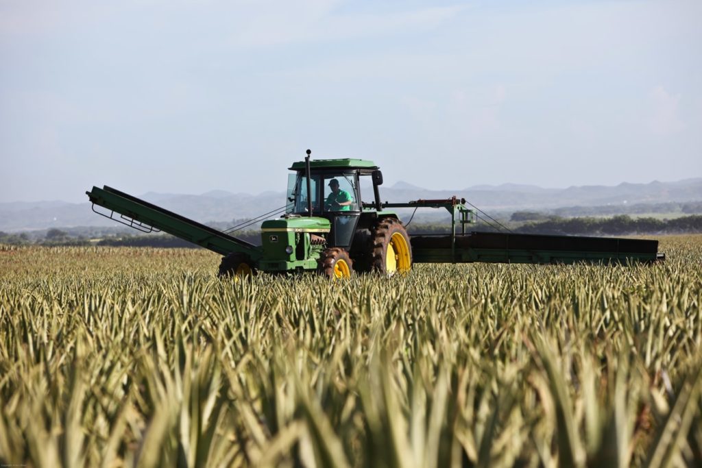 Un tracteur dans un champ de blé