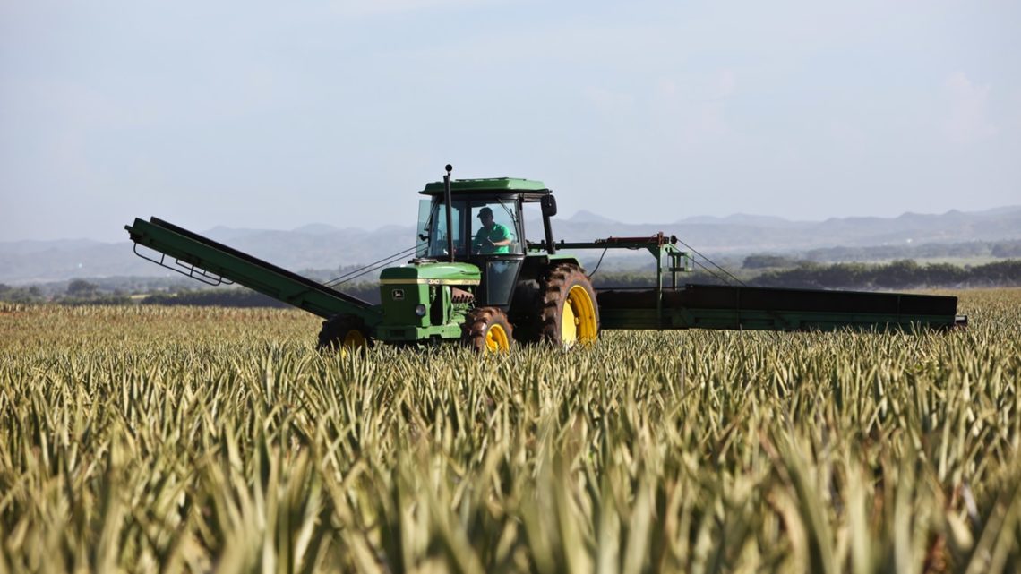 Un tracteur dans un champ de blé