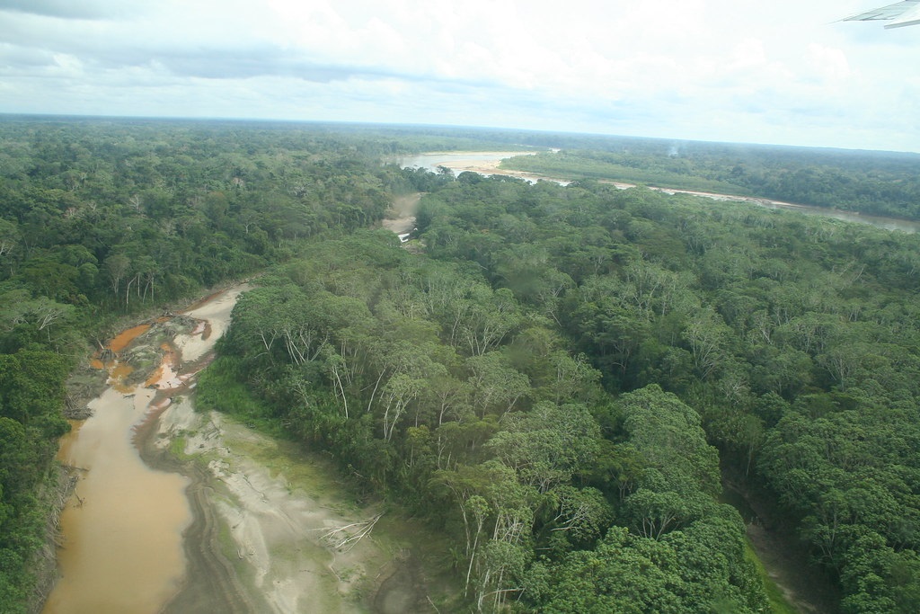 deforestation Amazonie