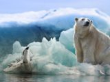 bouleversement climat Arctique