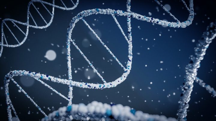 Visualisation 3D de l'ADN humain.