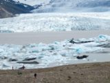 tonnes glaces disparu groenland vingt ans