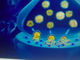 Pékin devance Musk dans la course au cerveau connecté