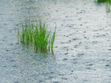 Kazakhstan : la pluie artificielle contre la sécheresse
