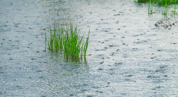 Kazakhstan : la pluie artificielle contre la sécheresse