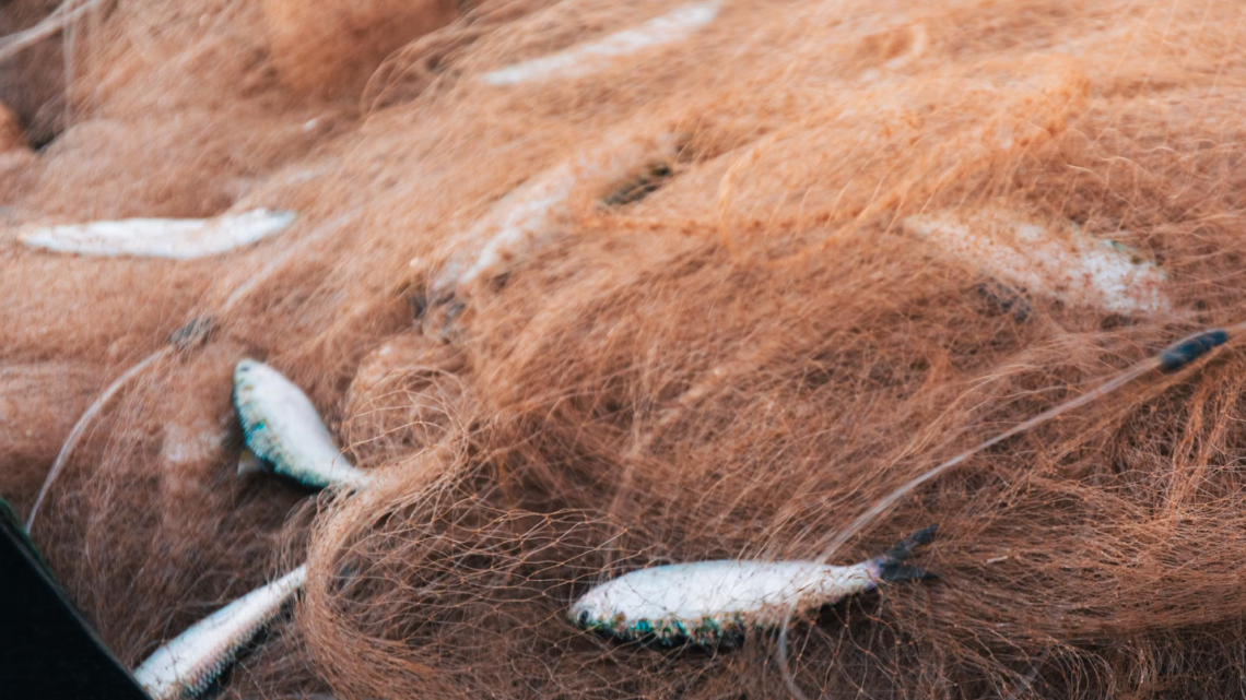 L’aquaculture, fausse amie des océans